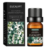 Auriq Eteriska Oljor – för ro, fokus och balans AURIQ